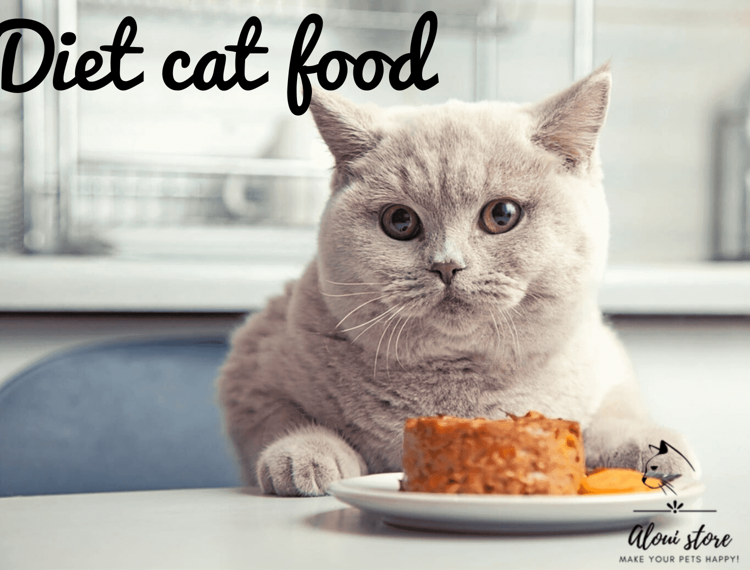 science-diet-cat-food-aloui-store